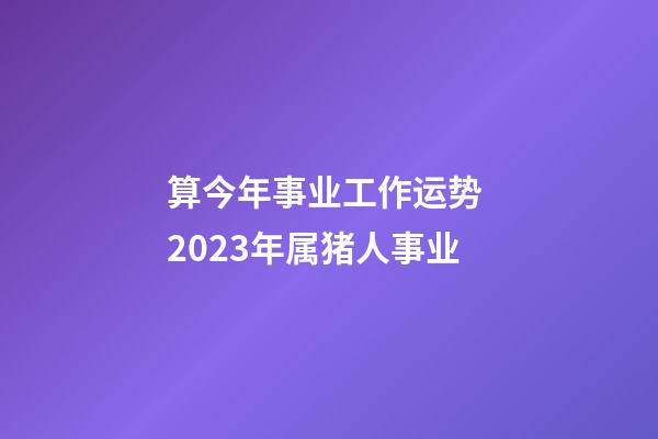 算今年事业工作运势 2023年属猪人事业